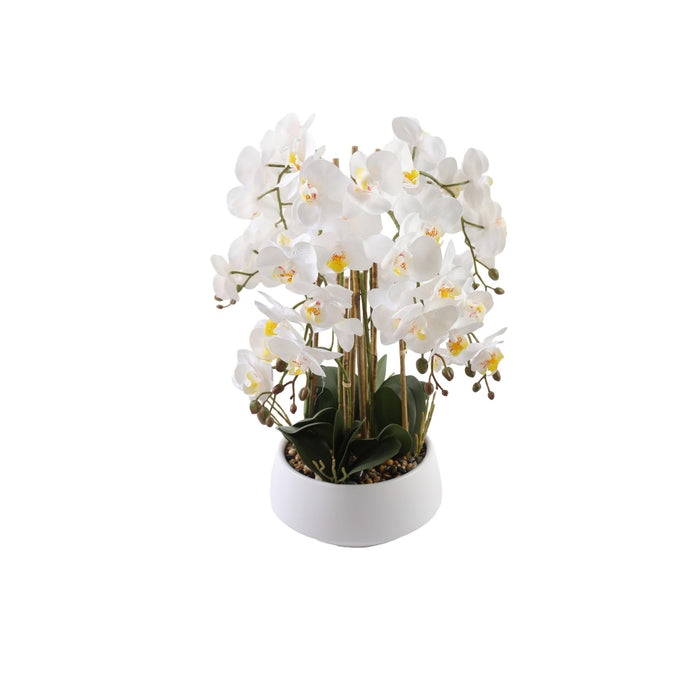 Orkidea valkoinen 52 cm valkoinen ruukku