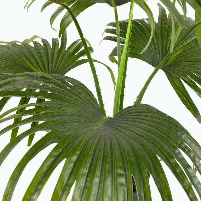 Flora Palmu 80 cm