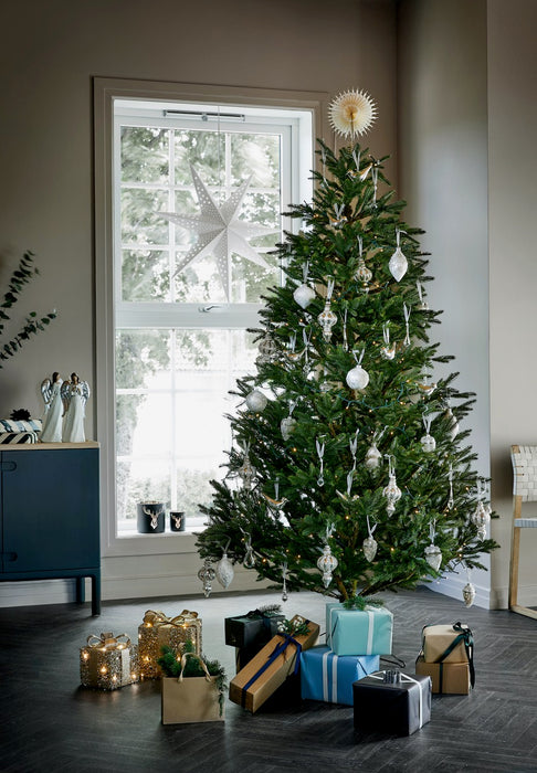 Stella White latvatähti