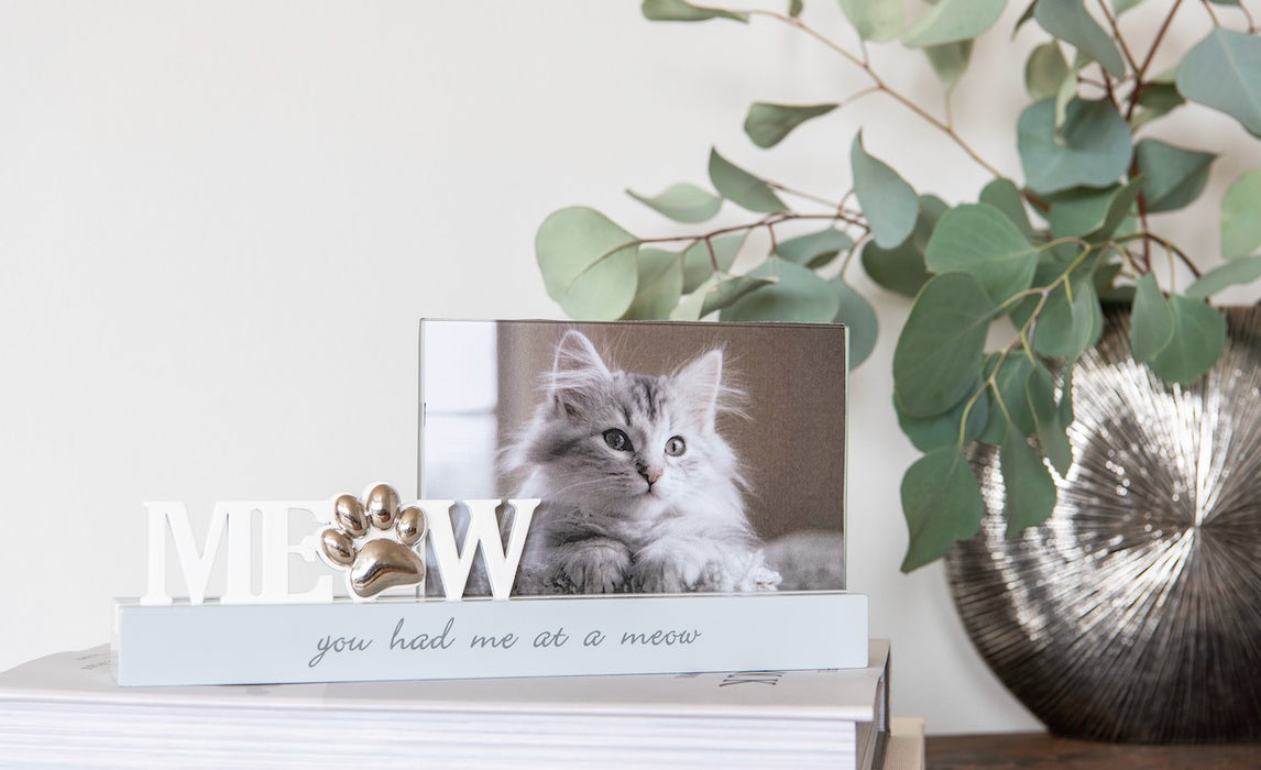 Meow kehykset