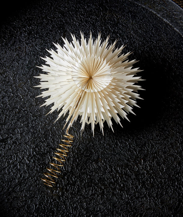 Stella White latvatähti