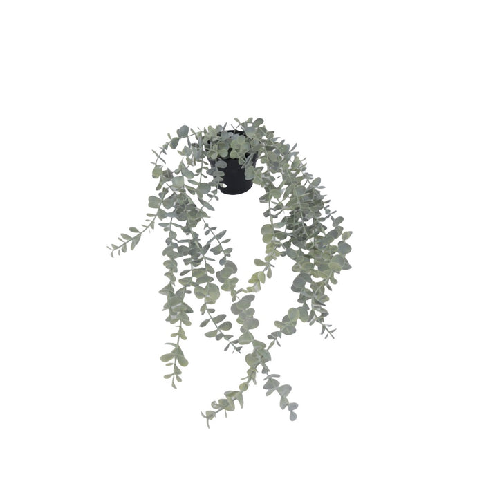 Flora riippuva mehikasvi 65 cm