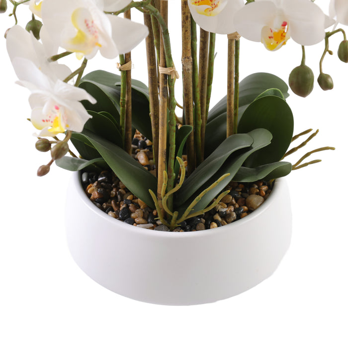Orkidea valkoinen 52 cm valkoinen ruukku