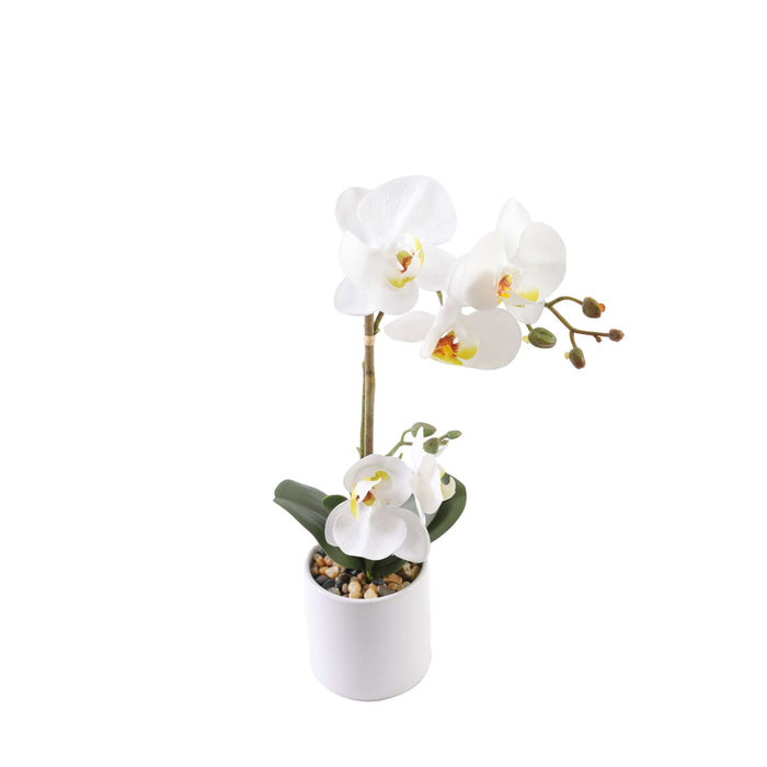 Valkoinen orkidea 35 cm