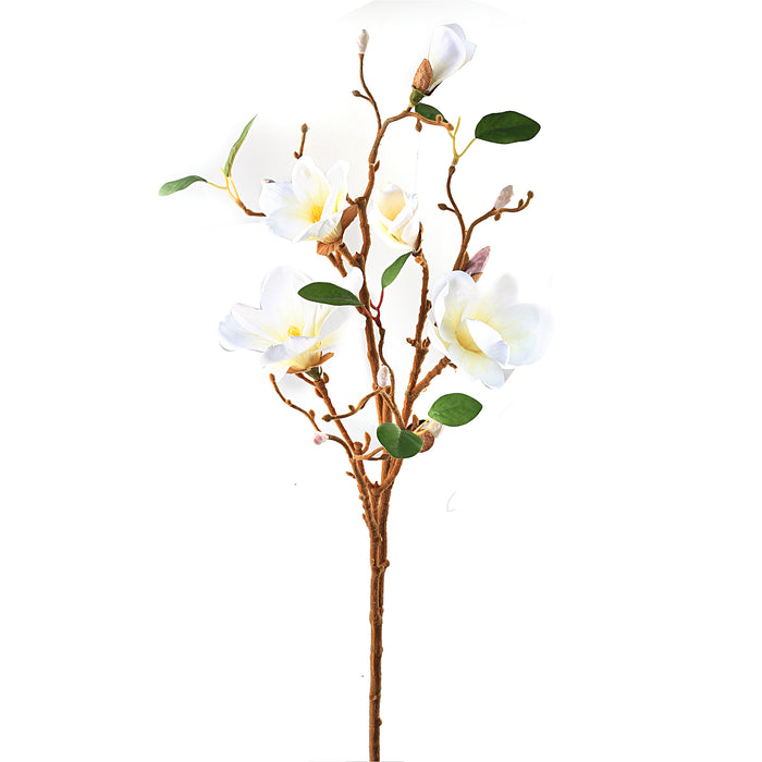 Magnolian oksa valkoinen