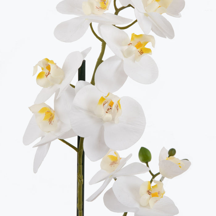Flora Orkidea 51 cm